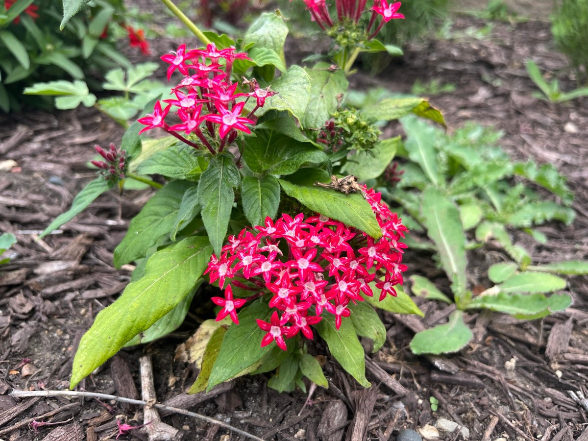 The Truth About Religion (Part&nbsp;5)