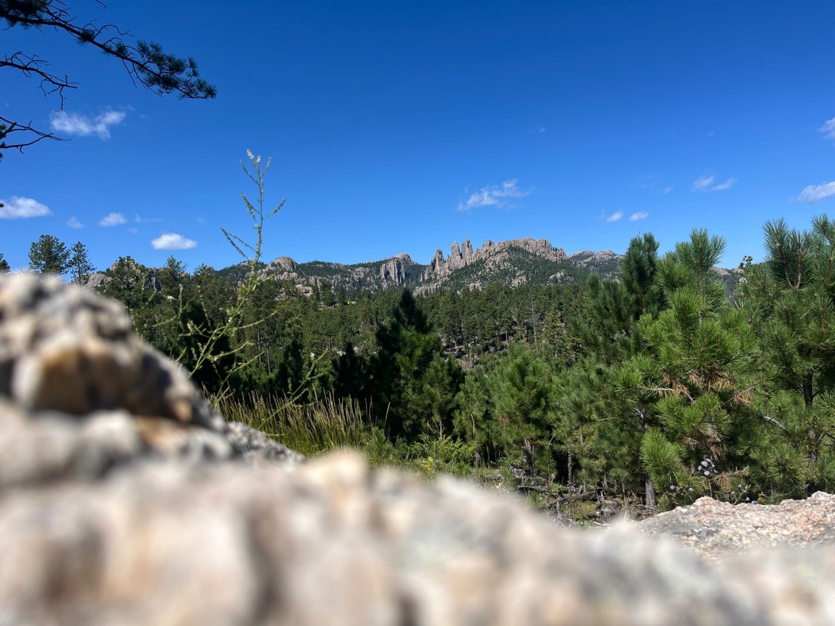 How To Argue With Your Professor (And When You&nbsp;Should)