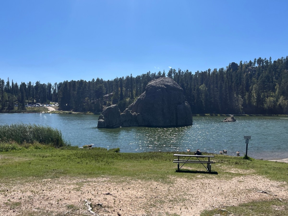 One of the Best Decisions I’ve&nbsp;Made