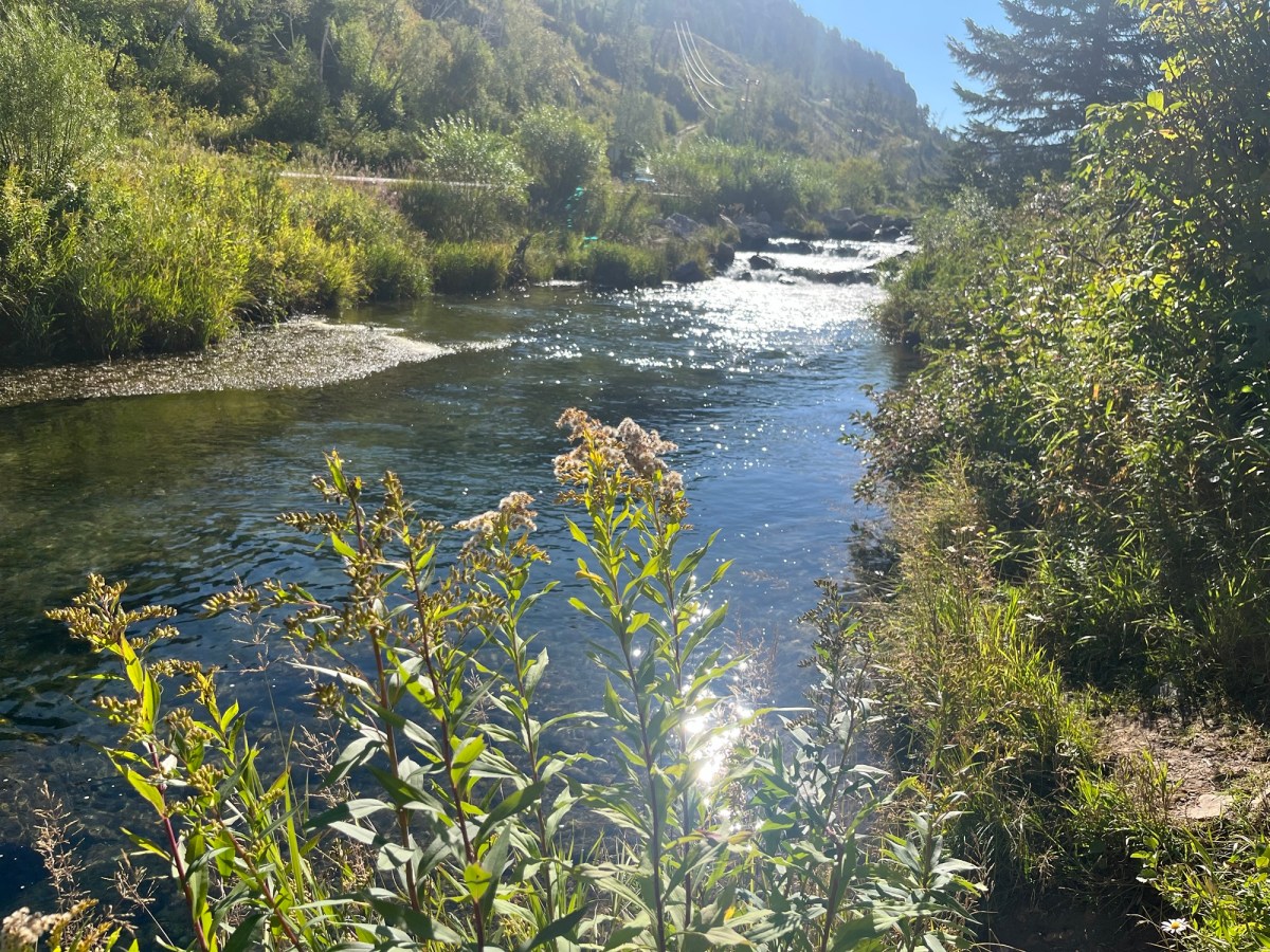 How to Argue With Your Professor and (Likely)&nbsp;Win