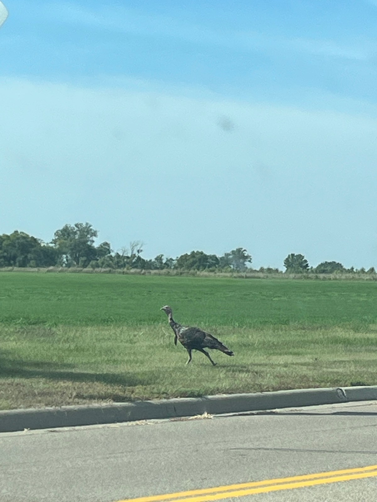 Don’t Wait Until The Last&nbsp;Minute